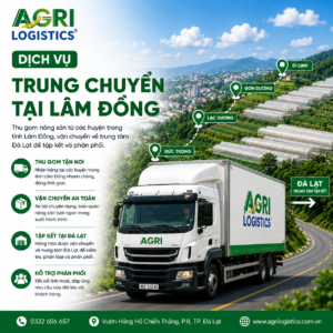Dịch vụ trung chuyển nông sản tại Lâm Đồng